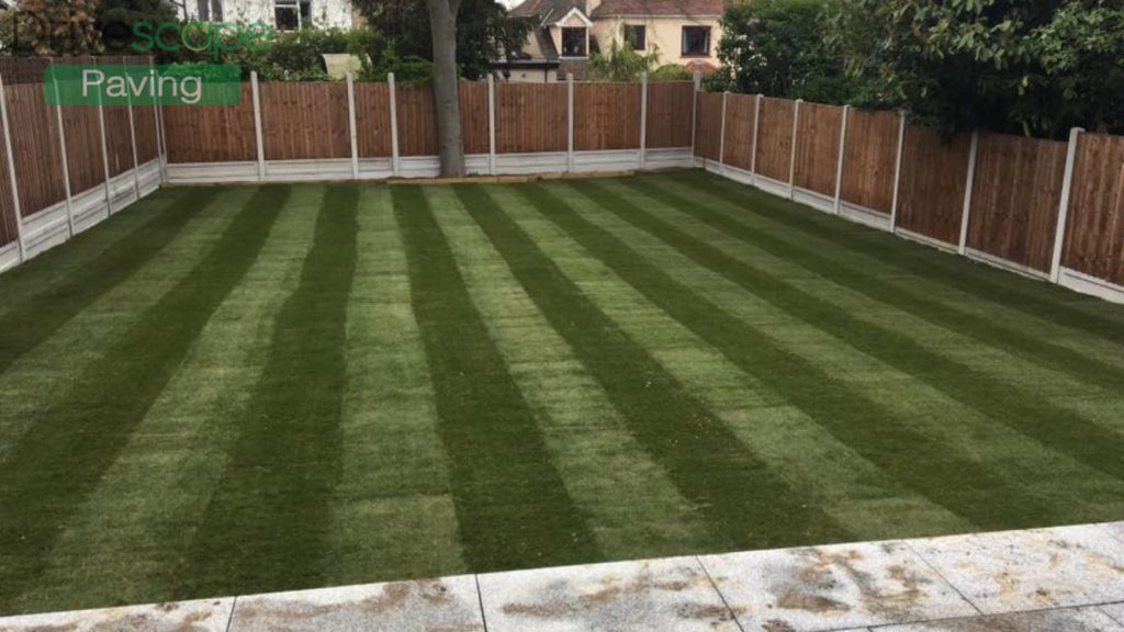Lawn and grass in Dublin