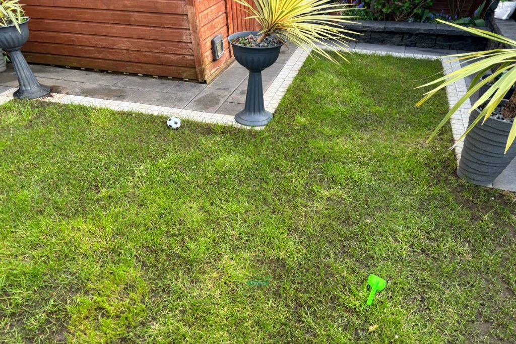 Artificial Lawn Installation in Hansfield Wood, Dublin (1)