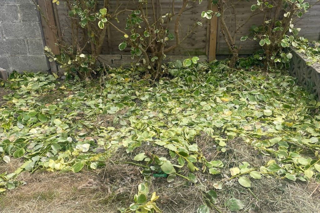 Tiered Porcelain Tiled Patio with Raised Flowerbeds in Blackrock, Dublin (2)