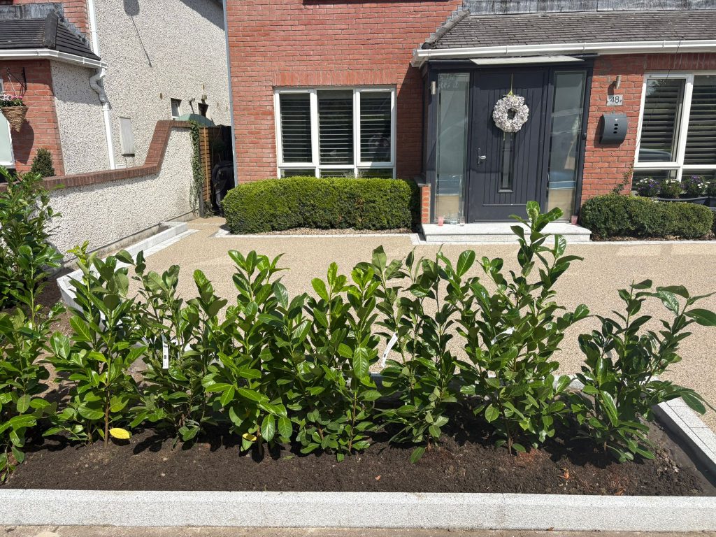 Resin Driveway with Granite Details and Laurel Hedges in Ratoath, Co. Meath